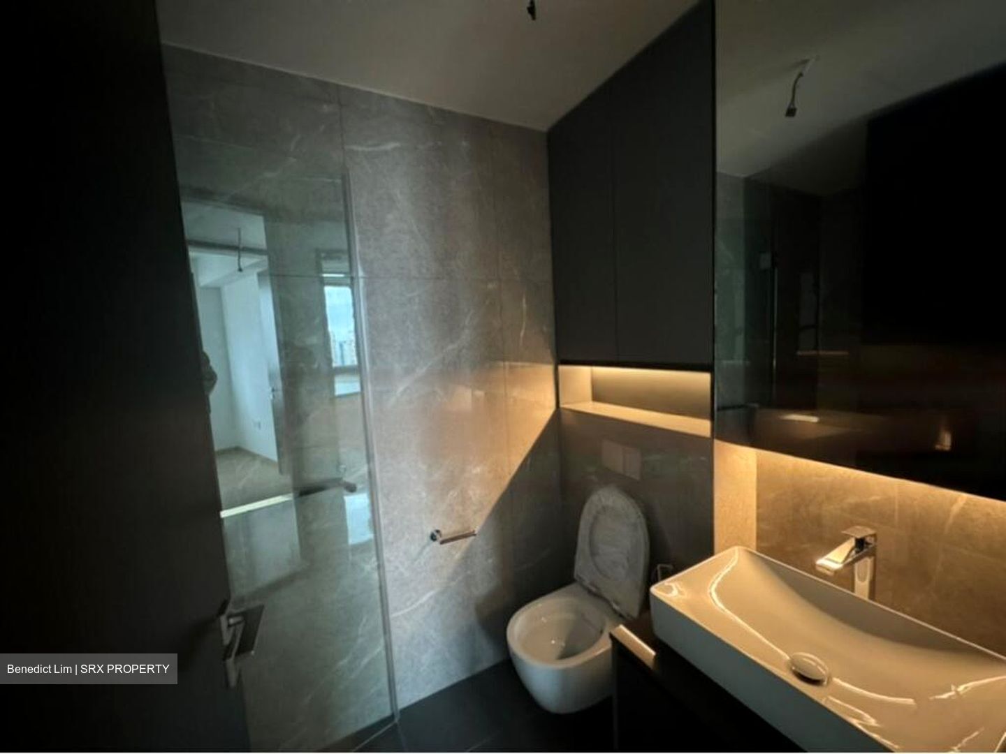 Irwell Hill Residences (D9), Apartment #449315771